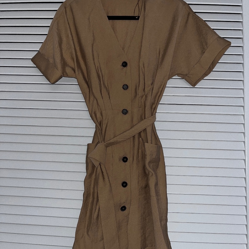 Zara Button Down Pleated Dress